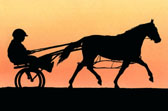 Standardbred, Equine Art - Sunset Standardbred